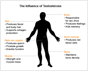 High levels of testosterone in men symptoms